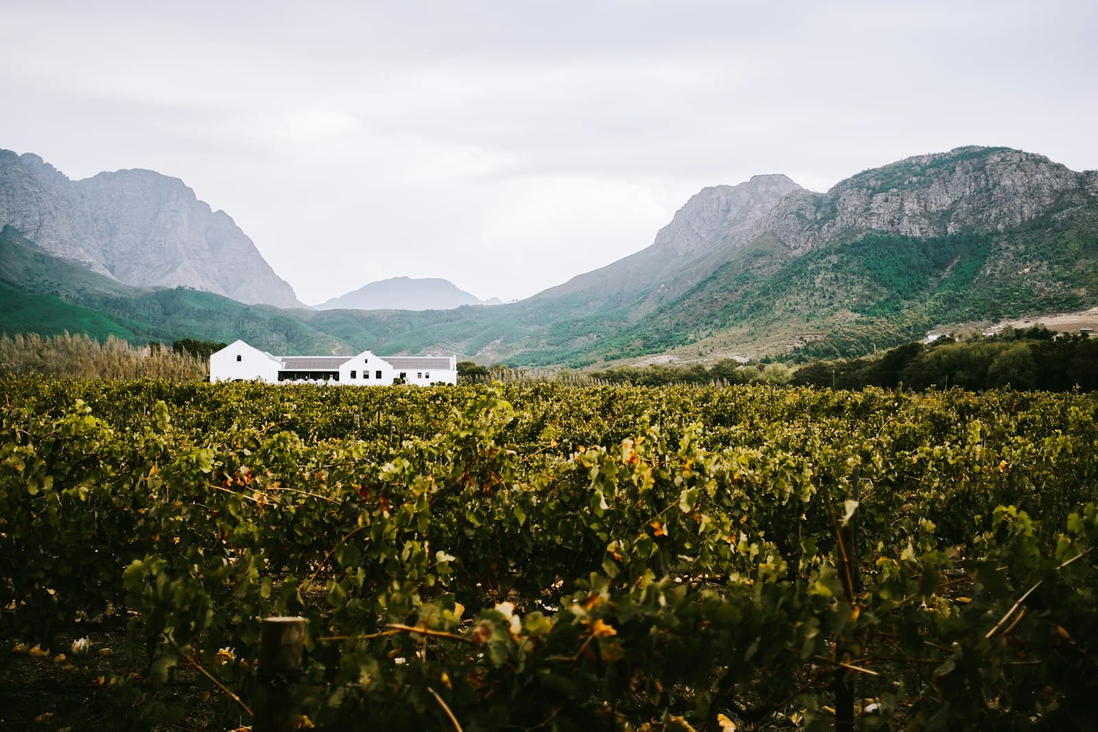 Cape Town 3