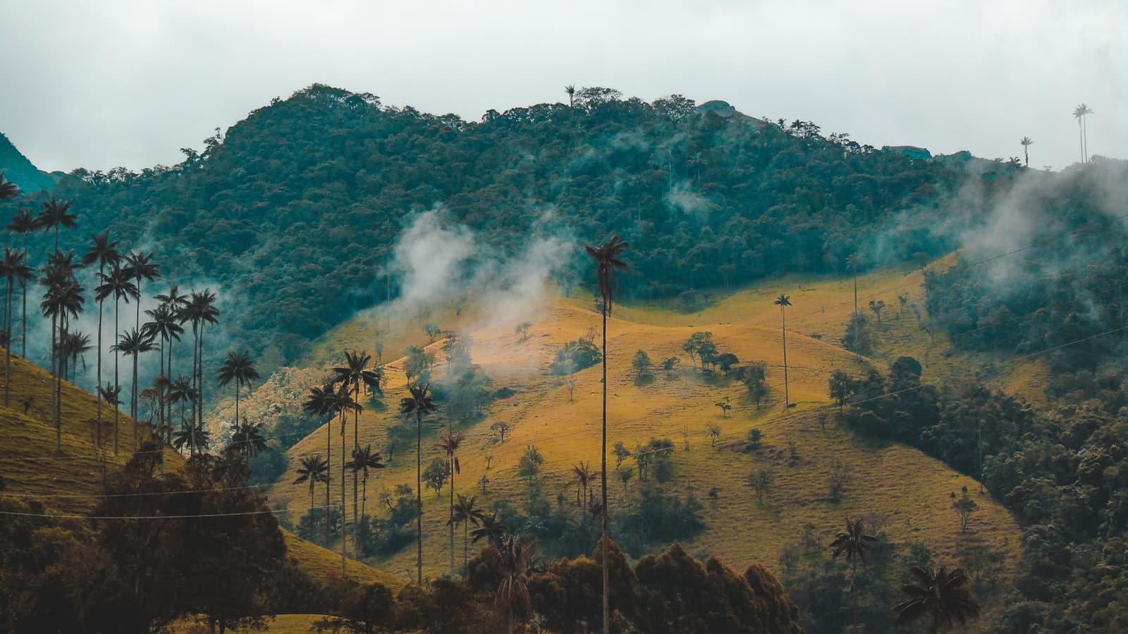 Medellín 3