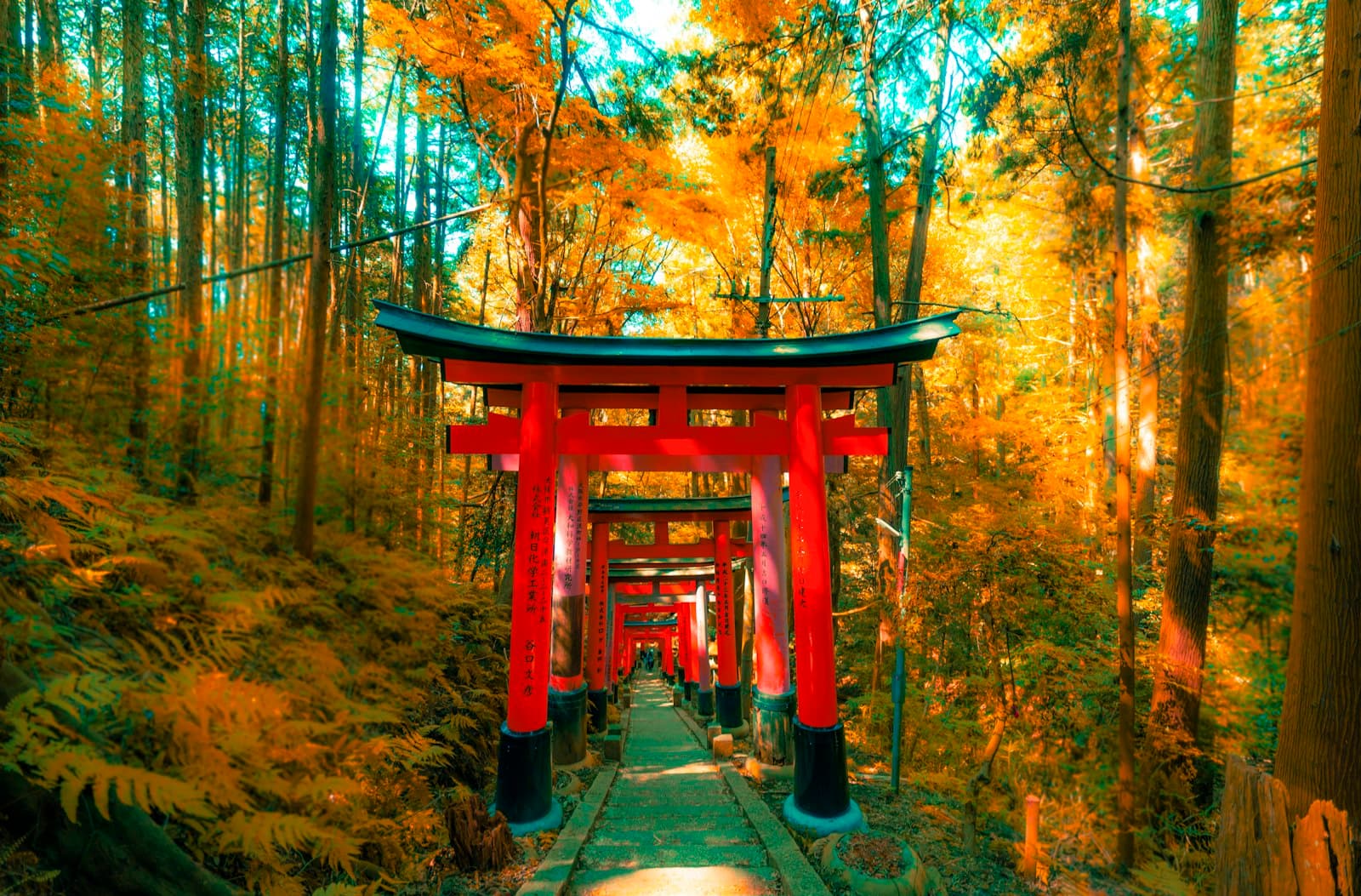 Travailler depuis Kyoto quand on est fondateur