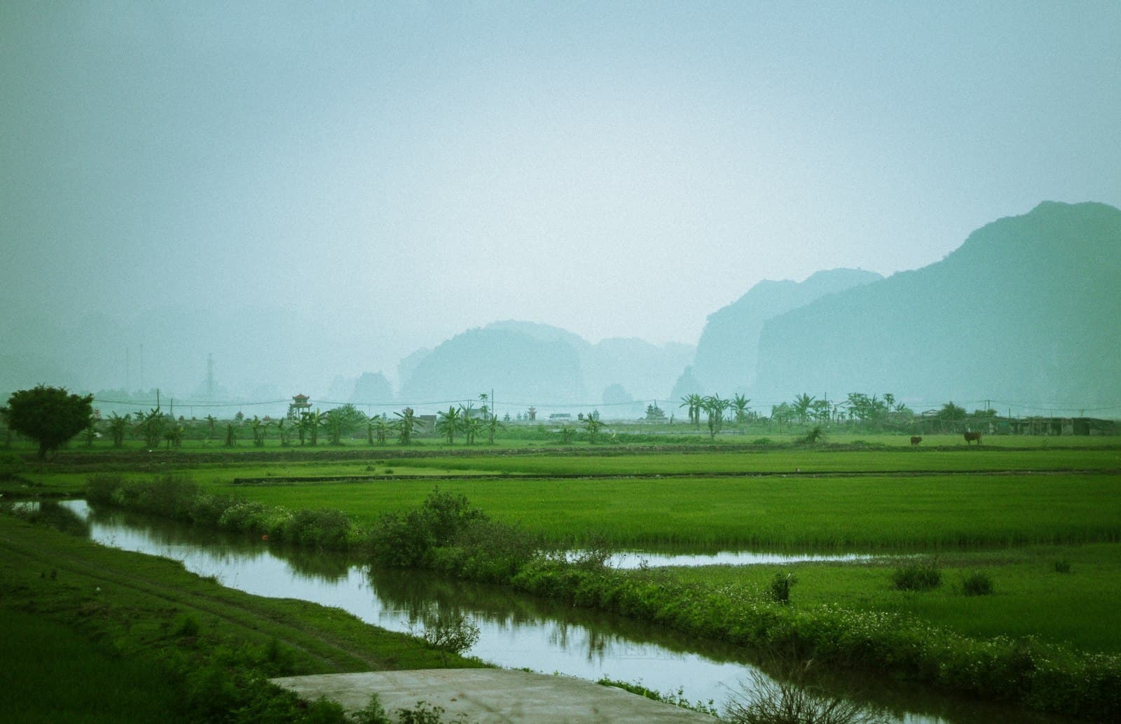 Sapa 2
