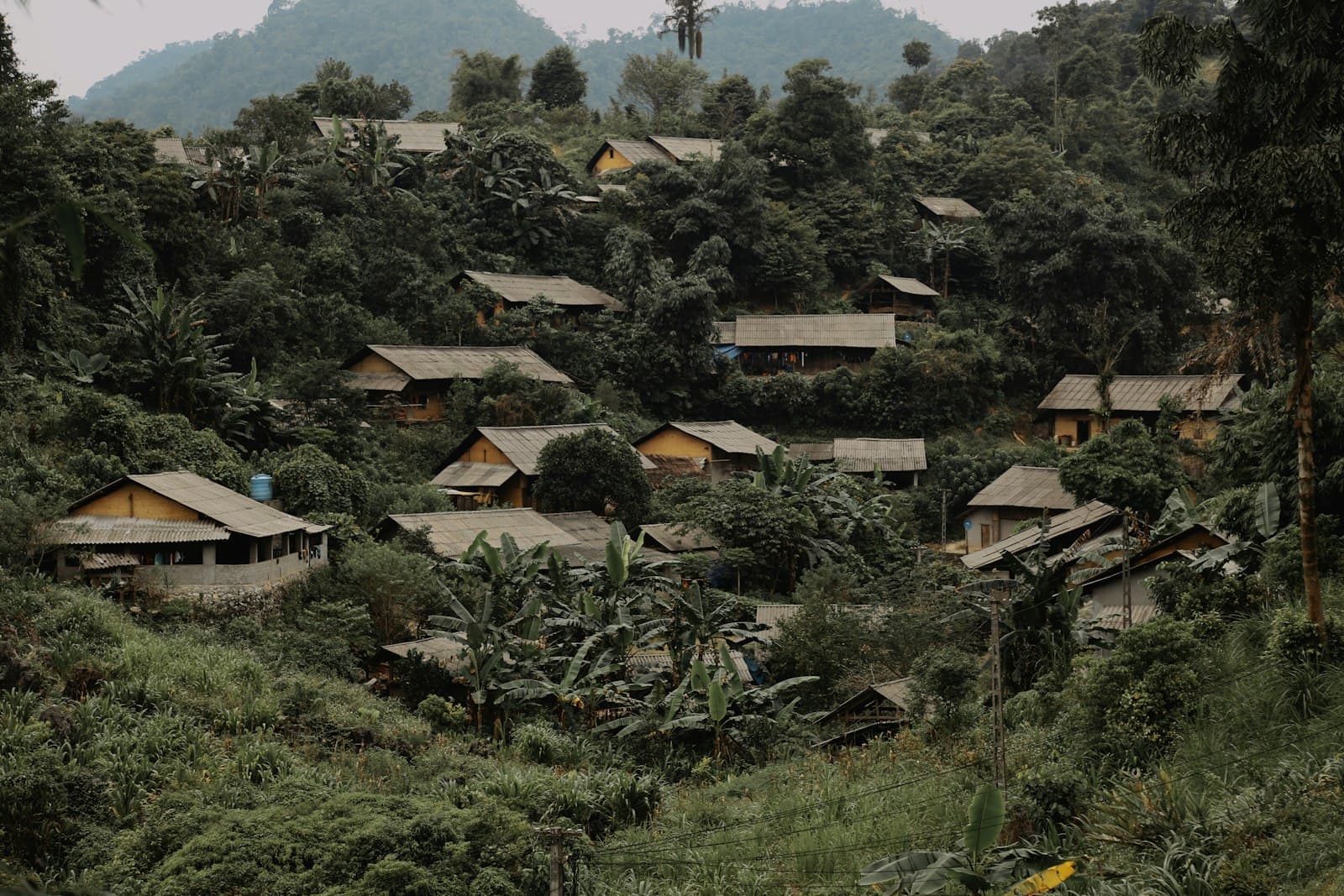 Sapa 4